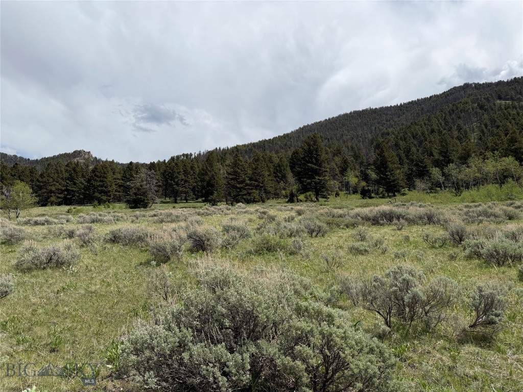 2-4a Continental Divide Road Cameron, MT 59720 - Photo 10 of 37 Gallery Image 10