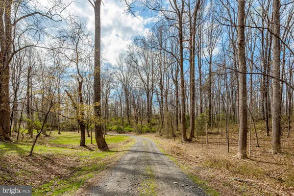 $750,000 | 4645 Morgans Bluff Drive, Marshall, VA 20115