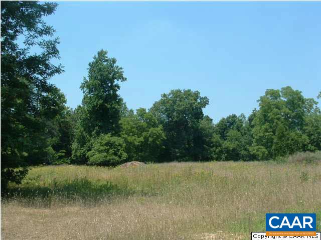 1 Louisa Road Keswick, VA 22947 - Photo 3 of 3 a view of a lush green field