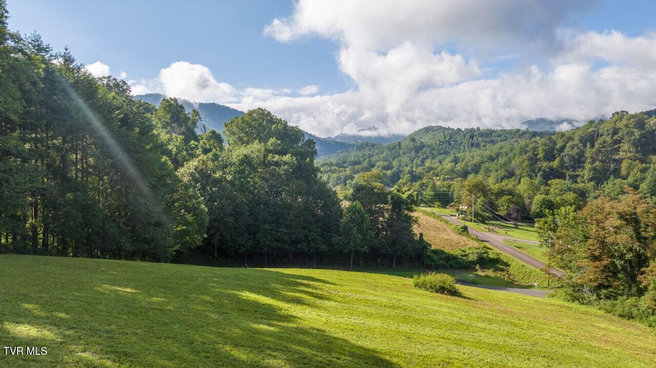 Lot 2 High Country Pvt Road, Unit 2 Butler, TN 37640 - Photo 24 of 32 Land picture 5 (1)