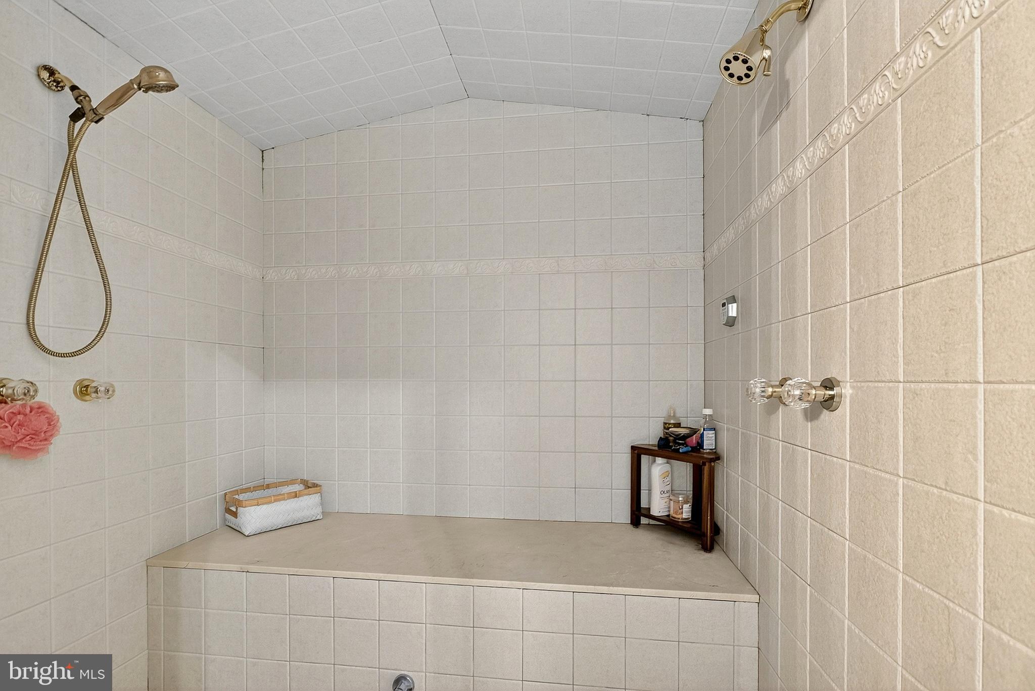 195 Hunters Run Swedesboro, NJ 08085 - Photo 61 of 83 Primary Shower/Steam Room