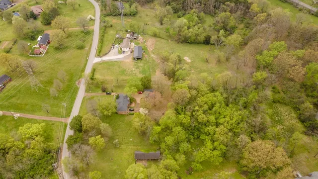 a view of yard with trees