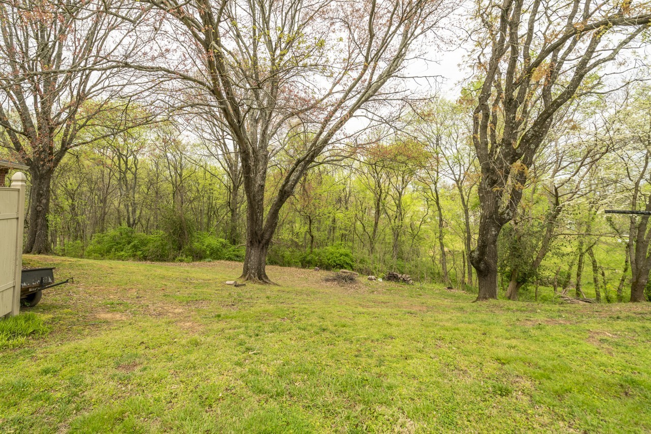 717 Preston Road Antioch, TN 37013 - Photo 16 of 16 a view of yard with trees