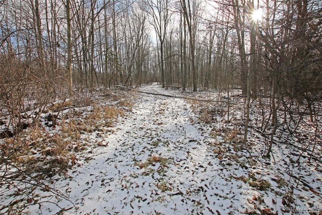 12254 Hill Road Goodrich, MI 48438 - Photo 44 of 52 44) Woods Trail.jpg