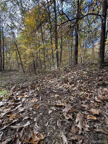 $110,000 | 0 County Road 1625 North, Cisne, IL 62823