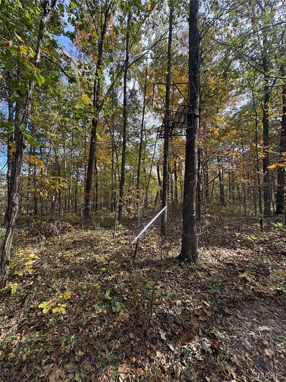 0 County Road 1625 North Cisne, IL 62823 - Photo 12 of 17