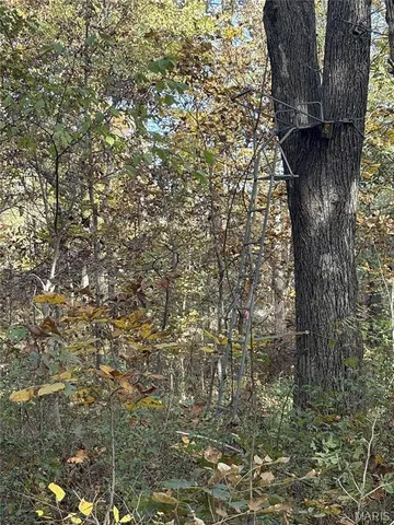 $110,000 | 0 County Road 1625 North, Cisne, IL 62823