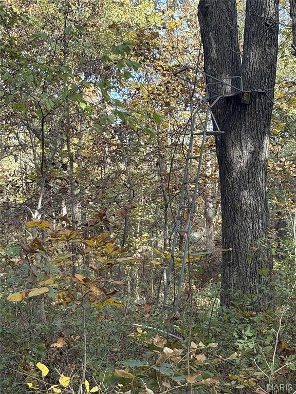 0 County Road 1625 North Cisne, IL 62823 - Photo 13 of 17