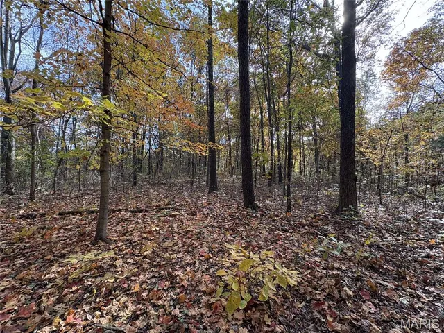 $110,000 | 0 County Road 1625 North, Cisne, IL 62823