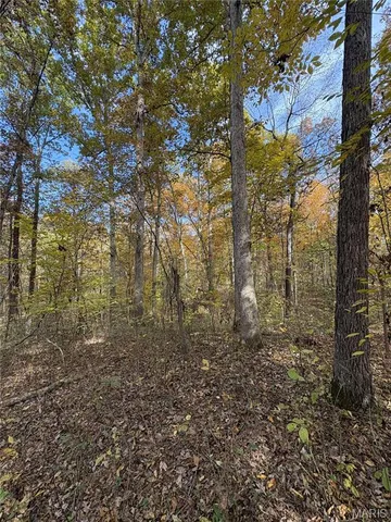 $110,000 | 0 County Road 1625 North, Cisne, IL 62823