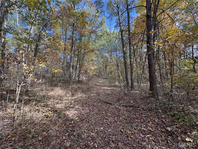 $110,000 | 0 County Road 1625 North, Cisne, IL 62823