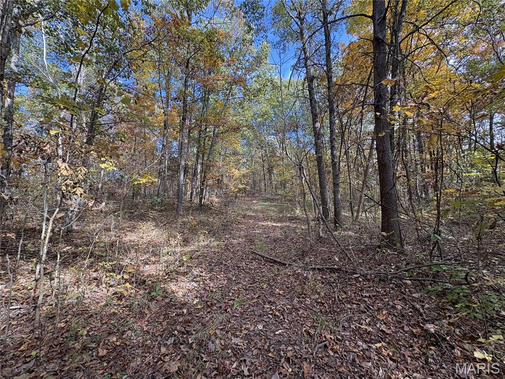 0 County Road 1625 North Cisne, IL 62823 - Photo 16 of 17