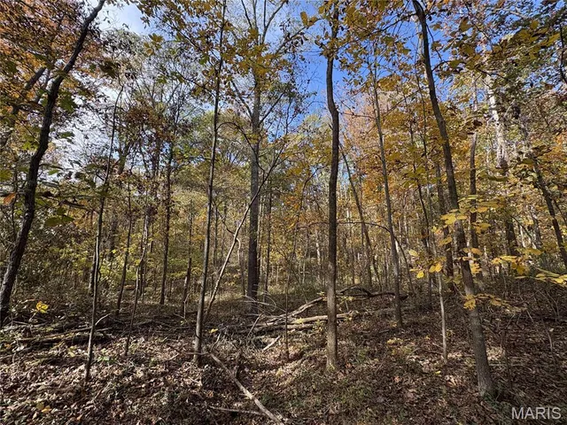 $110,000 | 0 County Road 1625 North, Cisne, IL 62823