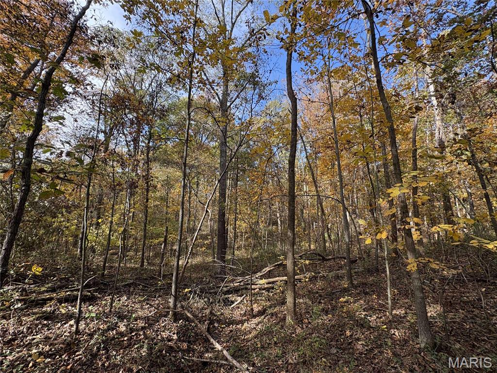 0 County Road 1625 North Cisne, IL 62823 - Photo 17 of 17