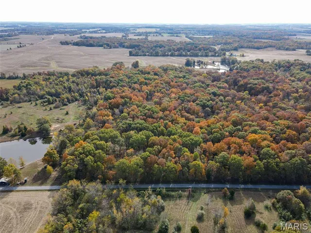 $110,000 | 0 County Road 1625 North, Cisne, IL 62823
