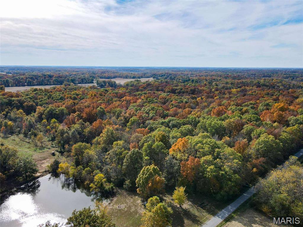 0 County Road 1625 North Cisne, IL 62823 - Photo 4 of 17