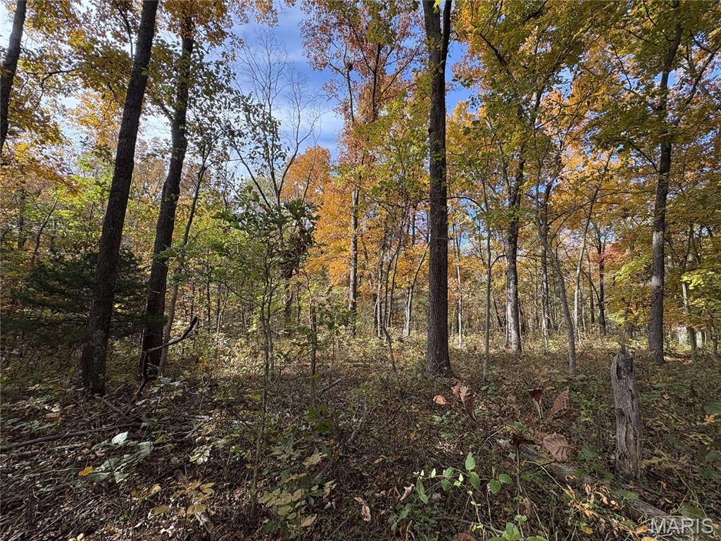 0 County Road 1625 North Cisne, IL 62823 - Photo 7 of 17