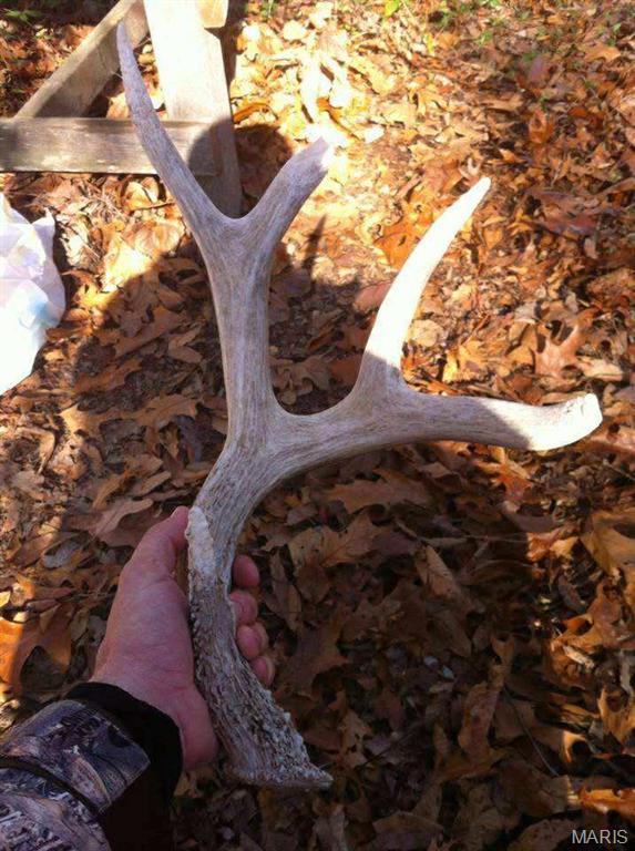 0 County Road 1625 North Cisne, IL 62823 - Photo 8 of 17