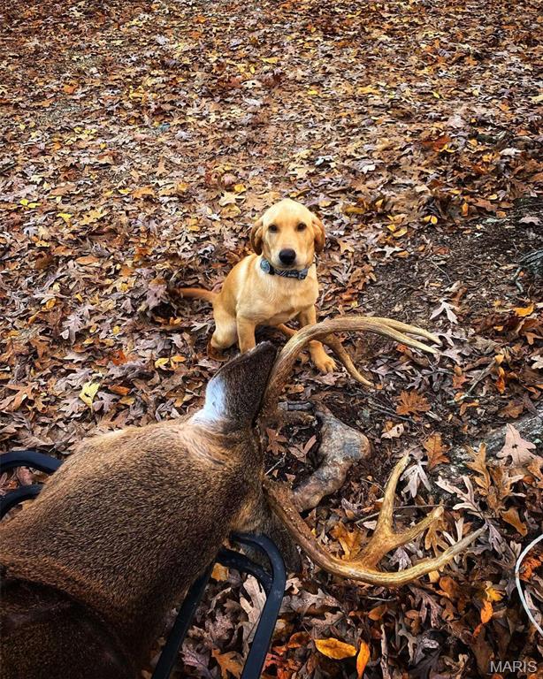0 County Road 1625 North Cisne, IL 62823 - Photo 9 of 17