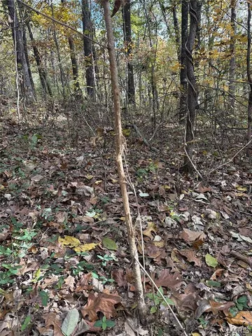 $110,000 | 0 County Road 1625 North, Cisne, IL 62823