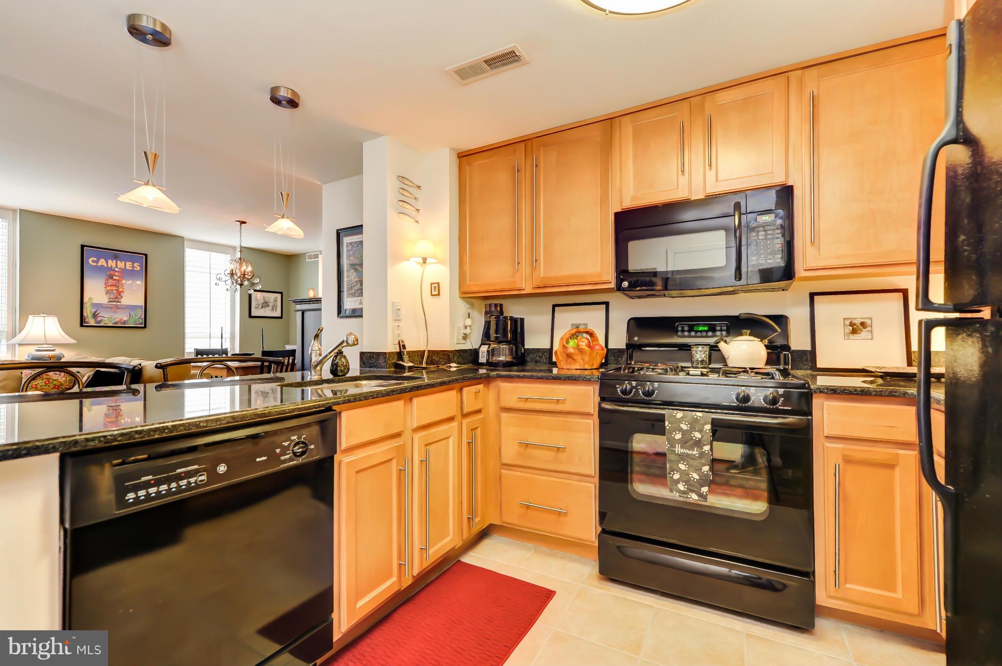 355 I Street Southwest, Unit S324 Washington, DC 20024 - Photo 11 of 25 Kitchen