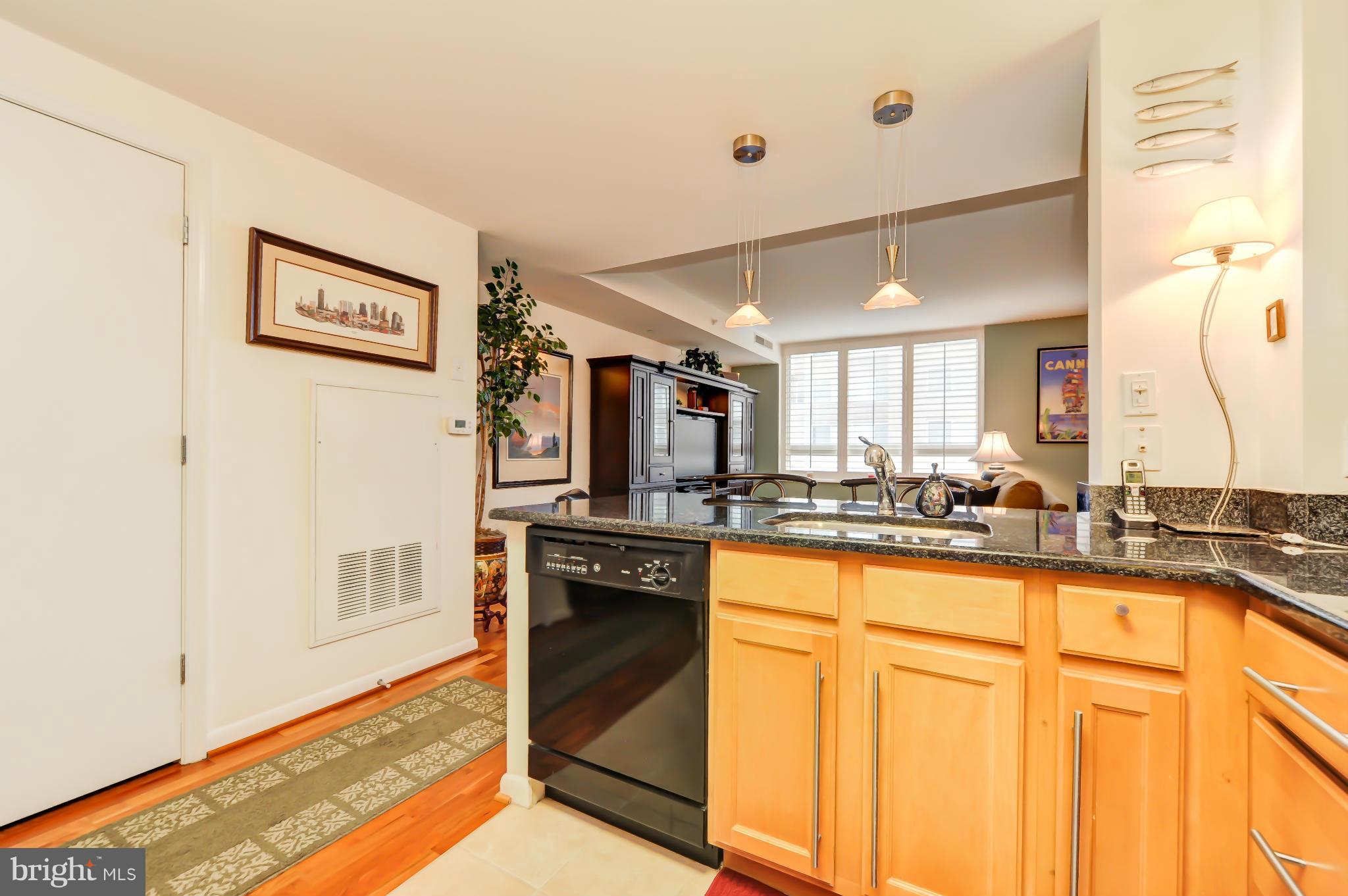 355 I Street Southwest, Unit S324 Washington, DC 20024 - Photo 9 of 25 Kitchen