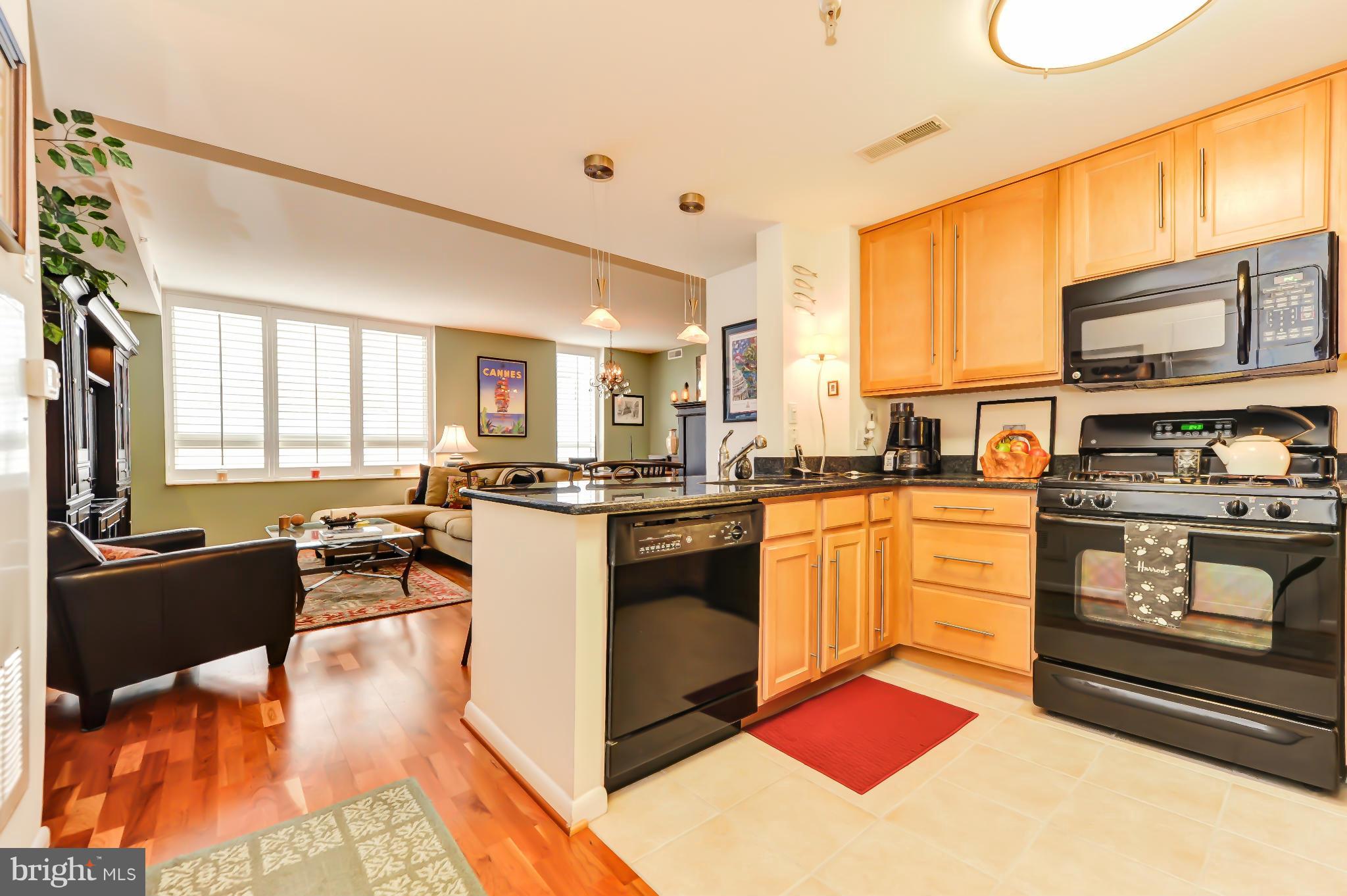 355 I Street Southwest, Unit S324 Washington, DC 20024 - Photo 10 of 25 Kitchen