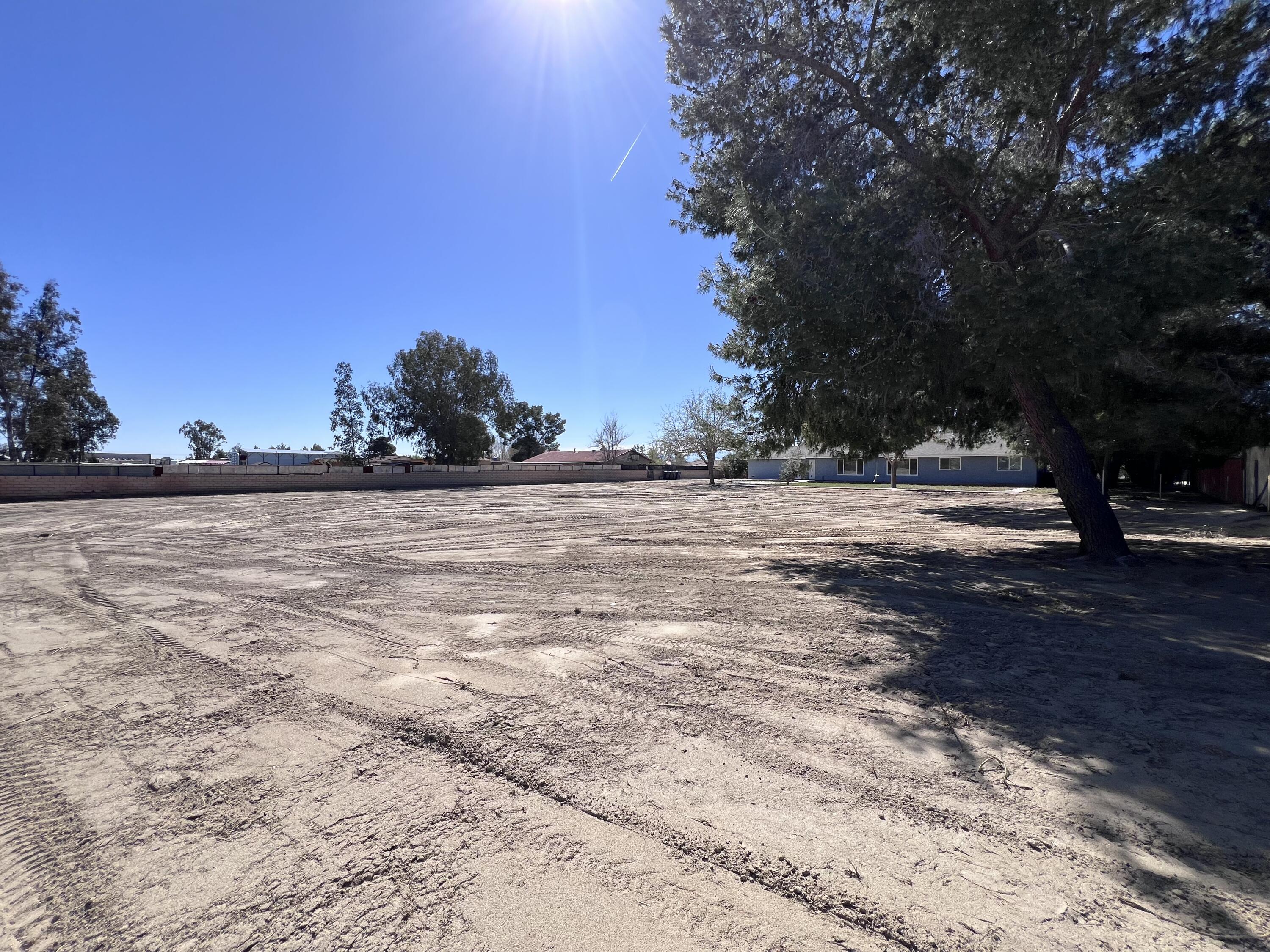 3255 East E Avenue Lancaster, CA 93535 - Photo 80 of 81 a view of a yard with a tree
