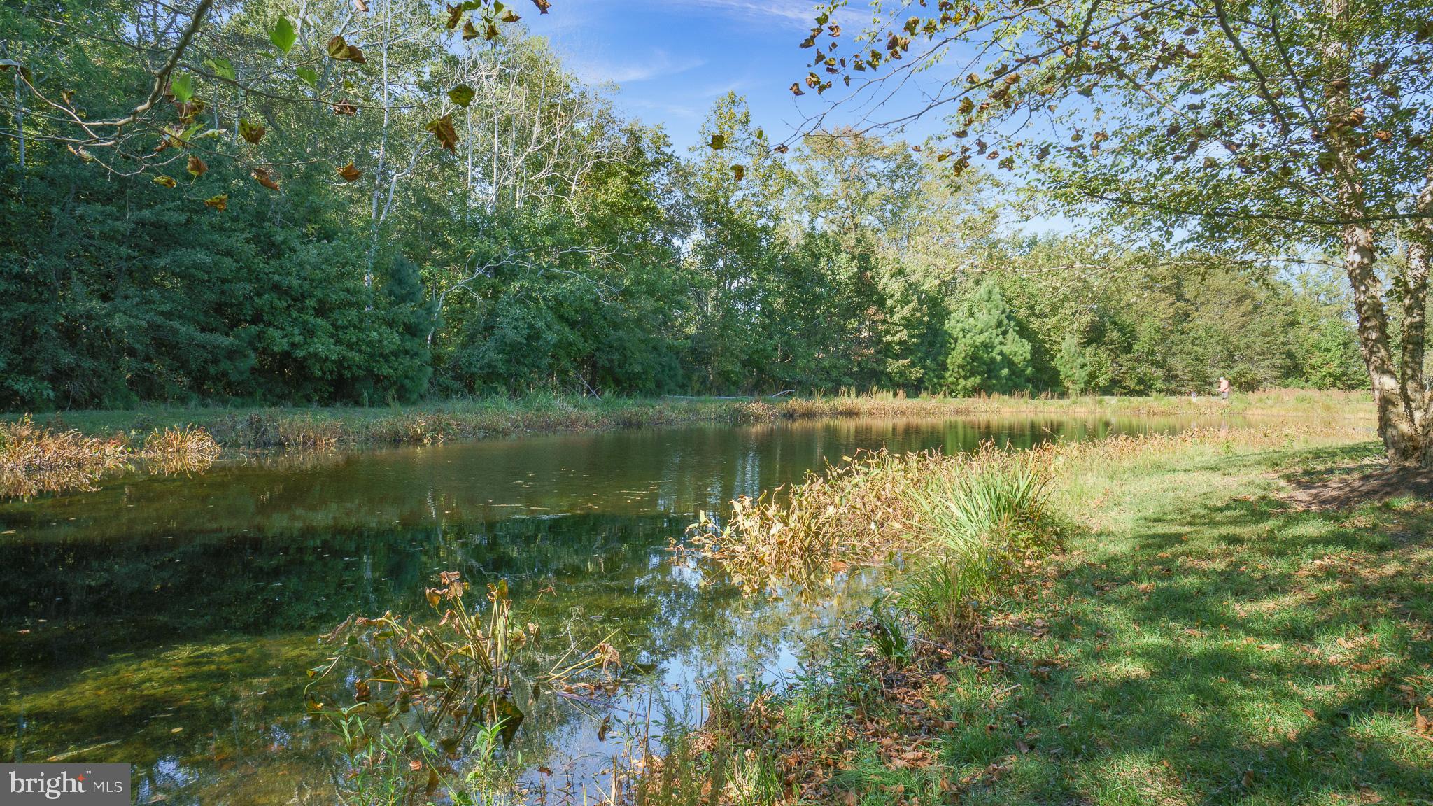 30933 Starling Road, Unit 105A Ocean View, DE 19970 - Photo 32 of 52 Picturesque views