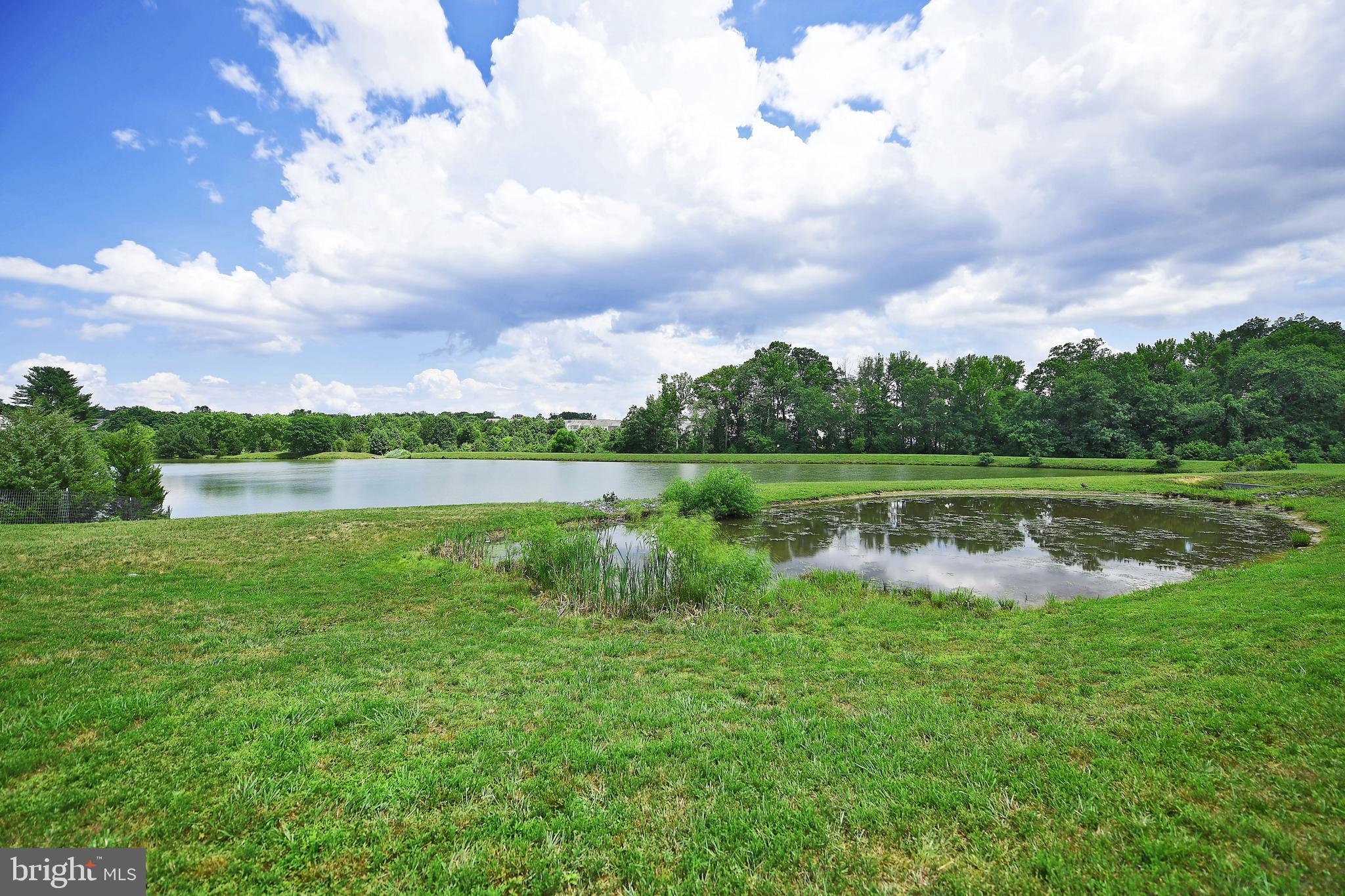 1449 Viridian Road Aberdeen, MD 21001 - Photo 52 of 55 Gallery Image 52