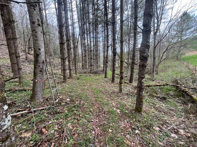 15.01-ac Pine Run Road, Unit 115110A Draper, VA 24324 - Photo 13 of 57 Gallery Image 13