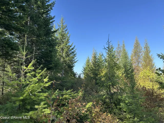 $168,500 | 5 Usfs 2294 Clark Fork, Clark Fork, ID 83811