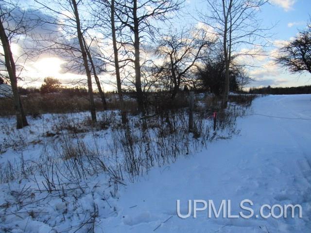 M35 - Tower Road Perkins, MI 49872 - Photo 3 of 15
