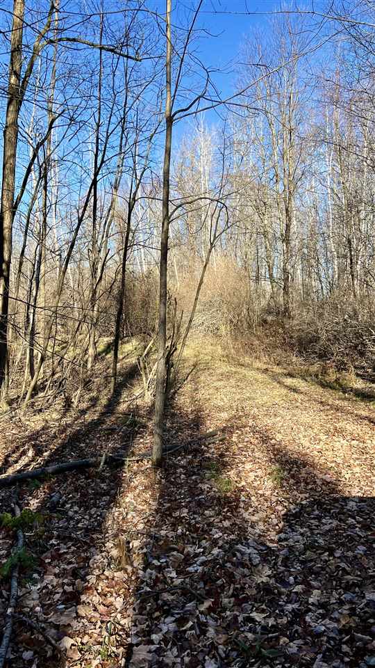 5841 Wendt Road Hope, MI 48628 - Photo 28 of 49 Gallery Image 28