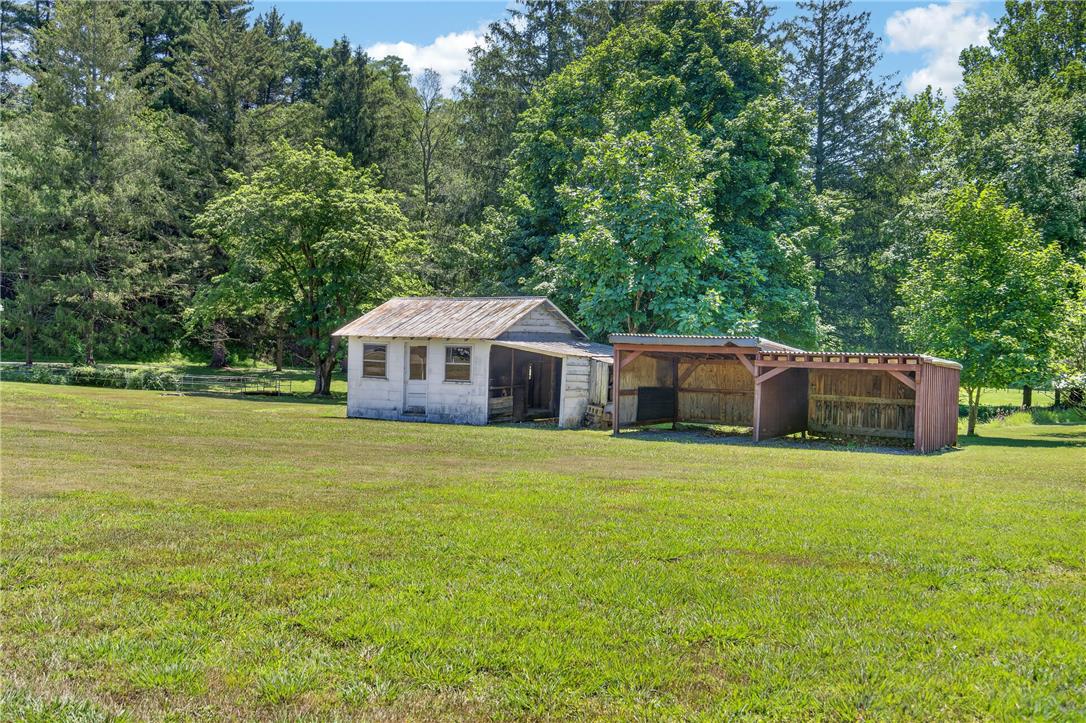 51 Reynolds Road Tamaqua, PA 18252 - Photo 70 of 71 A tranquil pasture with a charming outbuilding and a functional shed, framed by a dense, verdant tree line.