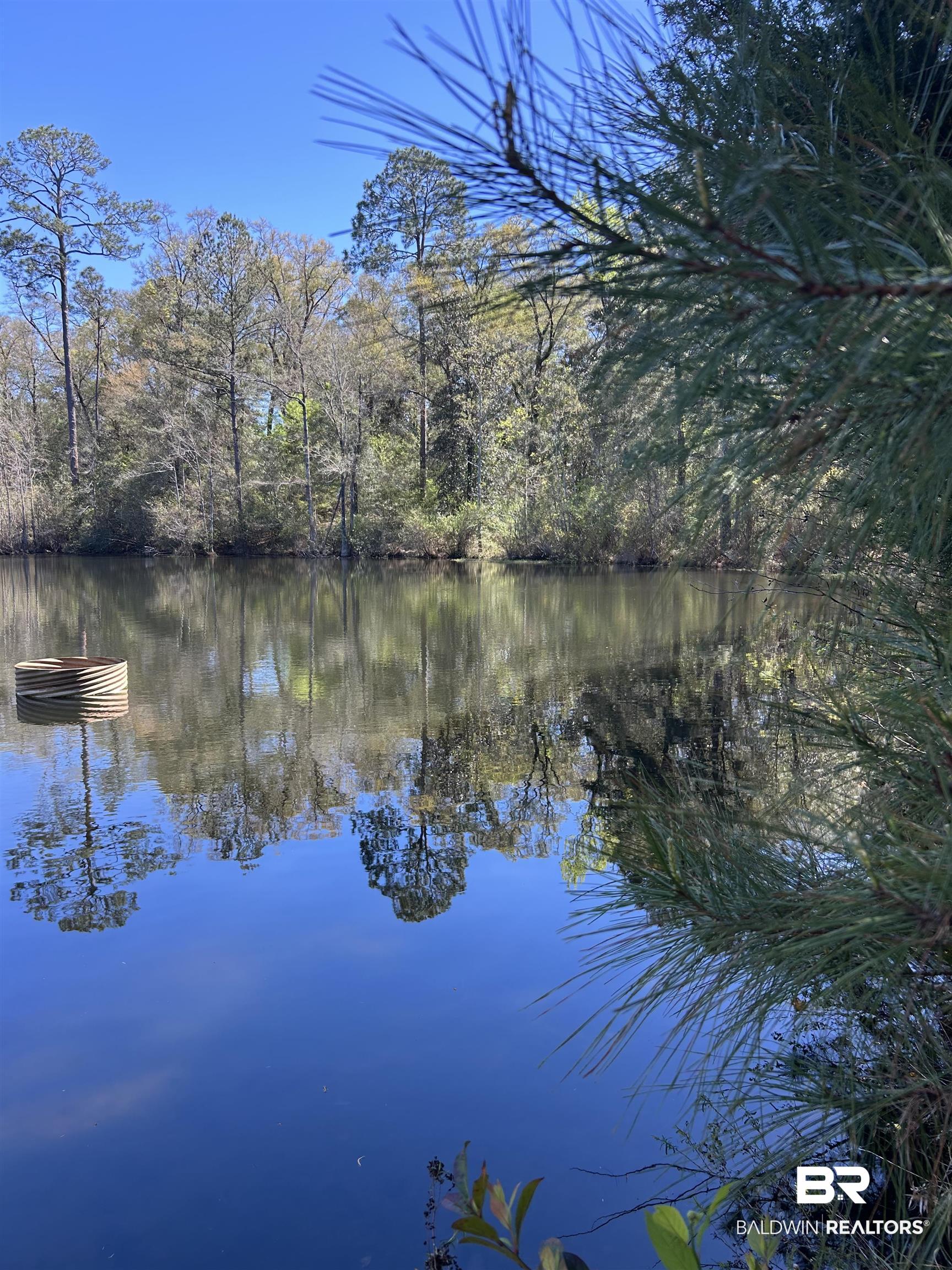 0 Fleming Lane Brewton, AL 36426 - Photo 4 of 18 Water view