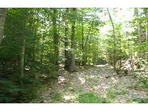 28 Range Road Deerfield, NH 03037 - Photo 7 of 7