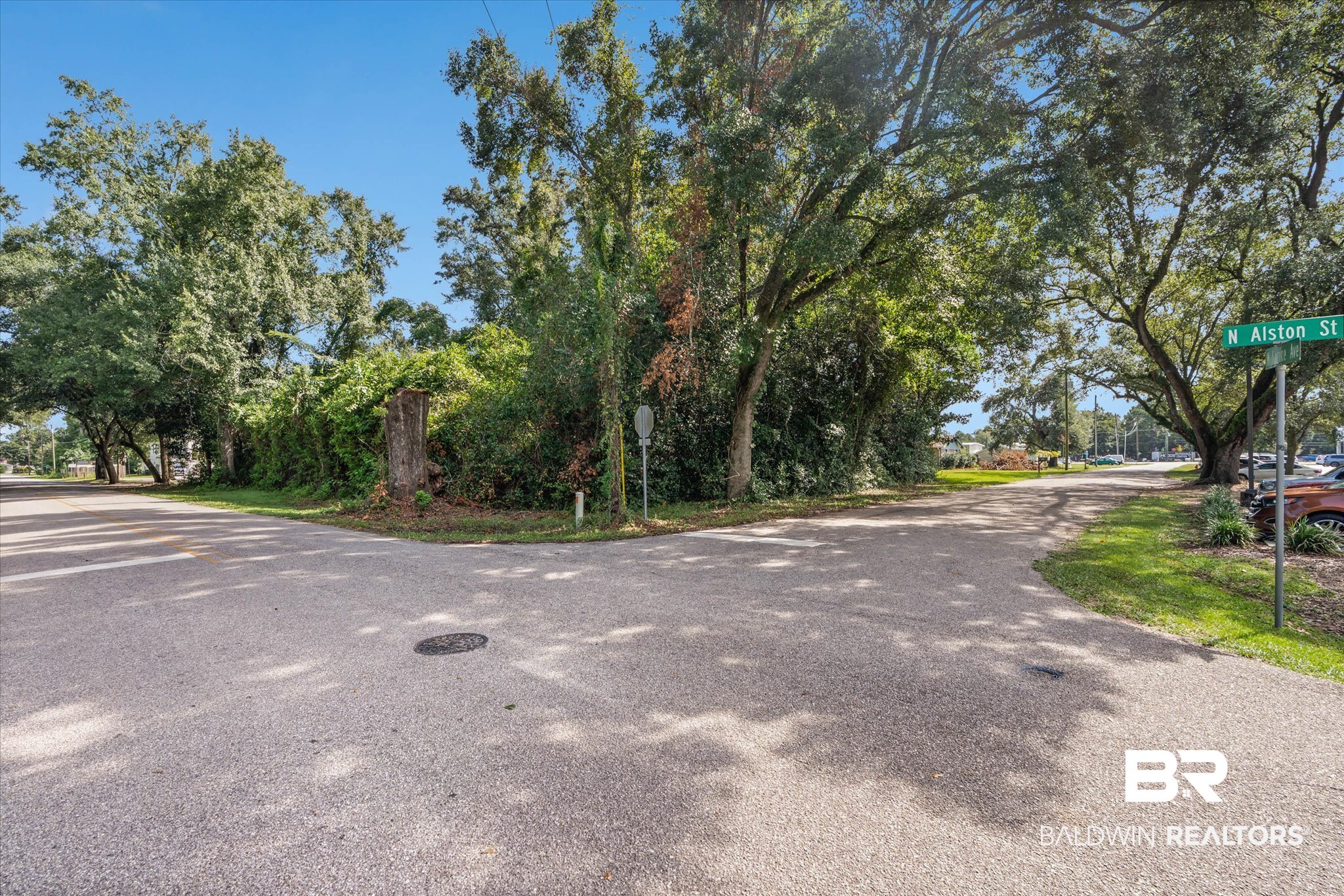 118 West Spruce Avenue Foley, AL 36535 - Photo 10 of 11 Gallery Image 10