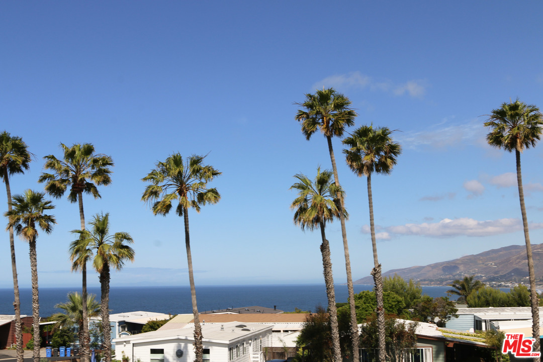 a ocean view with palm trees