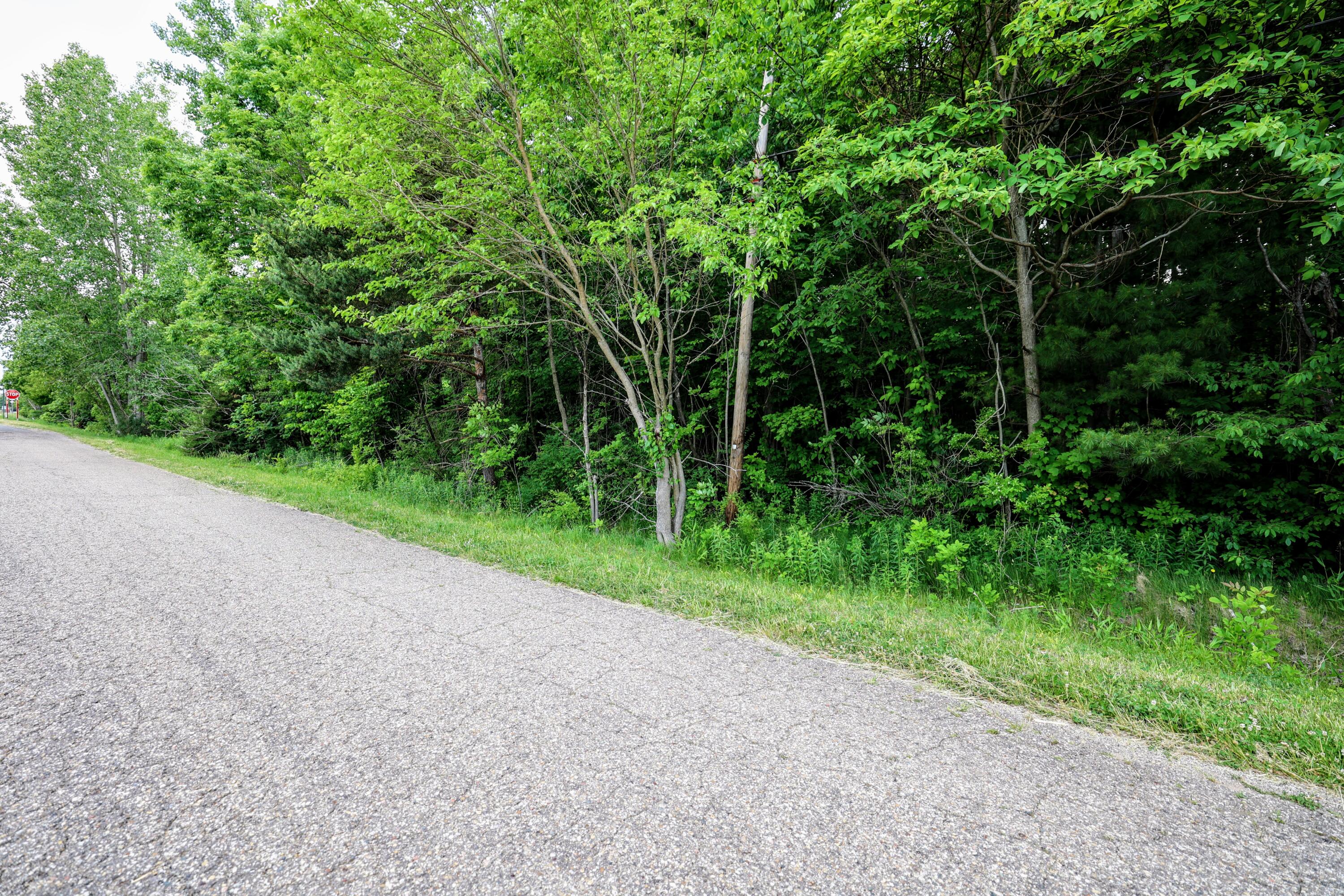 Vl Black River Road Bangor, MI 49013 - Photo 42 of 54 42
