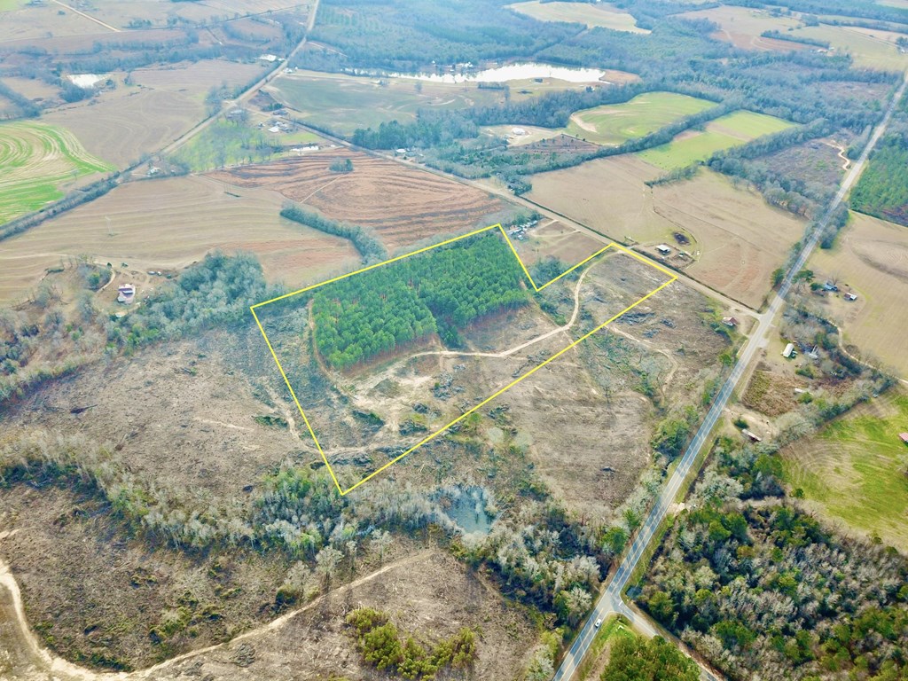 20-acres Hudson Road Columbia, AL 36319 - Photo 4 of 40