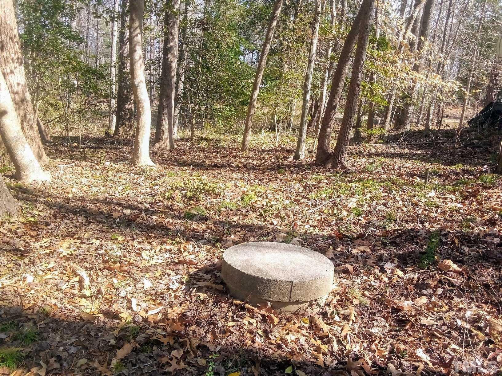 117 Turon Drive Spring Hope, NC 27882 - Photo 11 of 39 a view of a backyard with table and chairs
