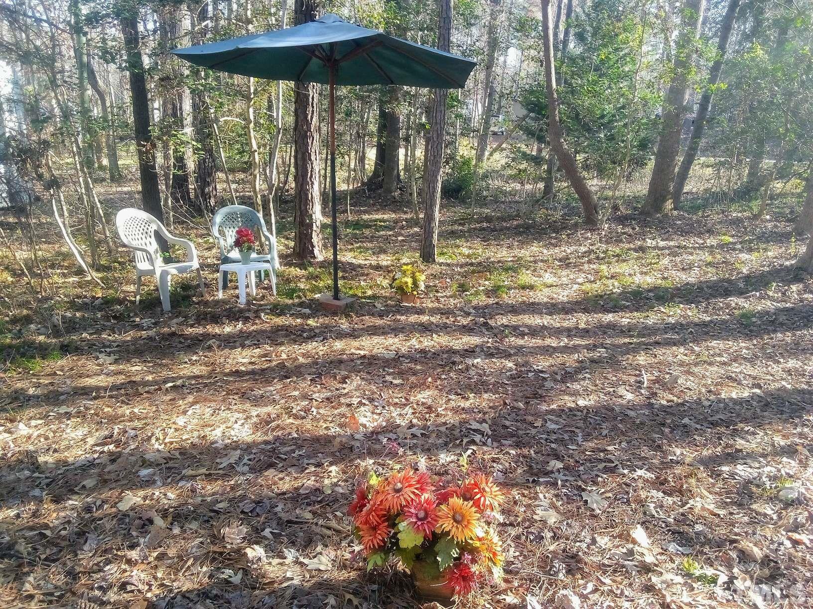 117 Turon Drive Spring Hope, NC 27882 - Photo 2 of 39 a view of a park that has two large trees