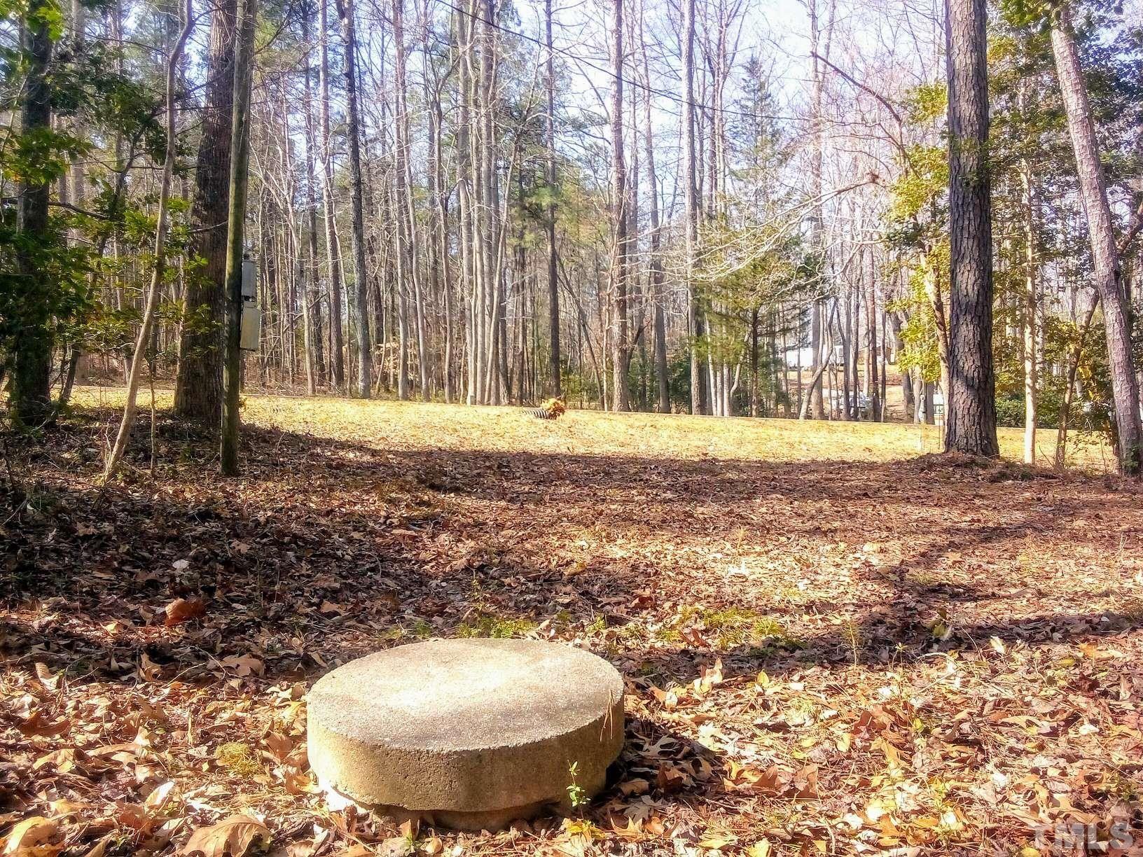 117 Turon Drive Spring Hope, NC 27882 - Photo 3 of 39 a view of a backyard with large trees
