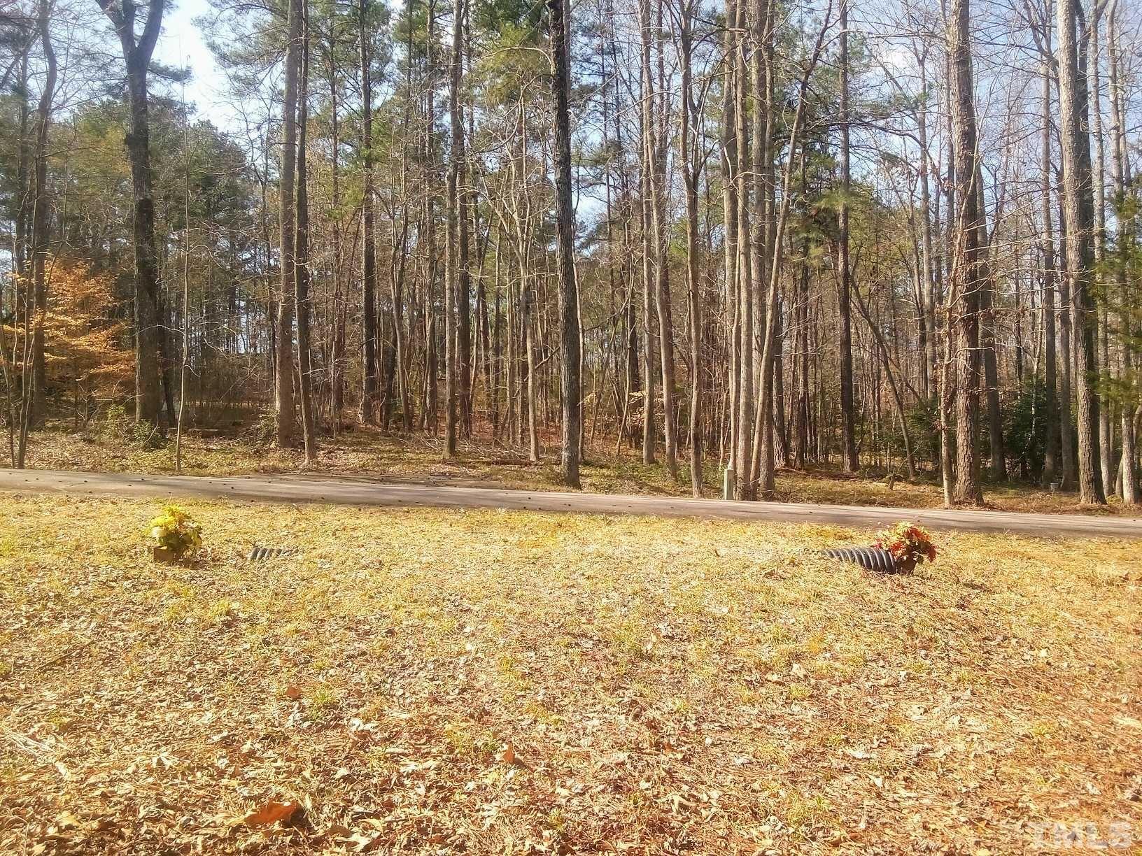 117 Turon Drive Spring Hope, NC 27882 - Photo 10 of 39 a view of swimming pool with large trees