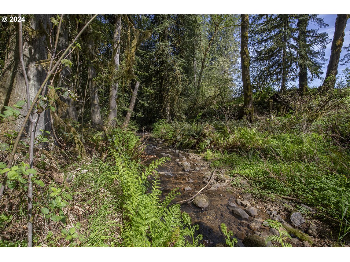 31192 Pittsburg Road St. Helens, OR 97051 - Photo 19 of 23 Gallery Image 19