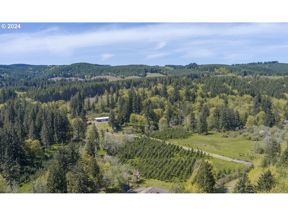31192 Pittsburg Road St. Helens, OR 97051 - Photo 5 of 23 Gallery Image 5