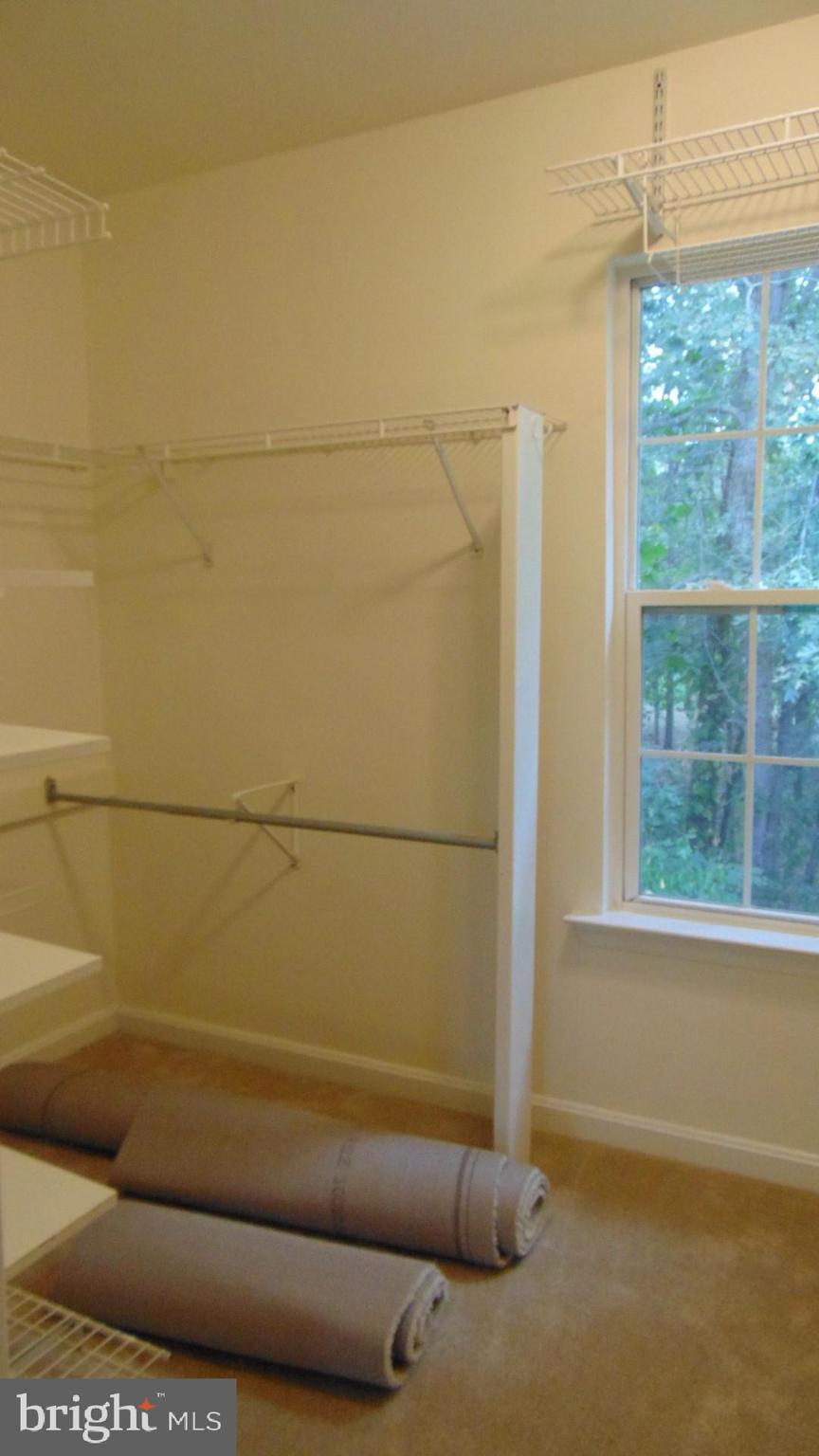 211 Pine Hills Road Front Royal, VA 22630 - Photo 36 of 63 Master Closet