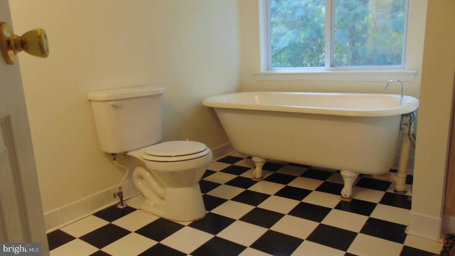 211 Pine Hills Road Front Royal, VA 22630 - Photo 39 of 63 Master Bath
