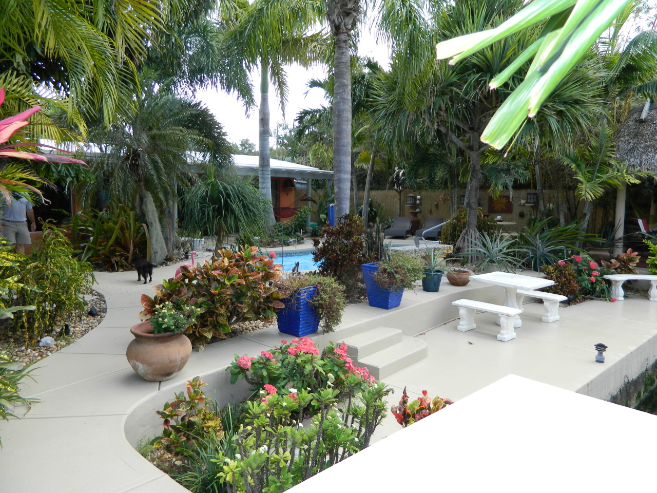 3844 Gillott Road Big Pine Key, FL 33043 - Photo 3 of 41 Back Yard Paradise